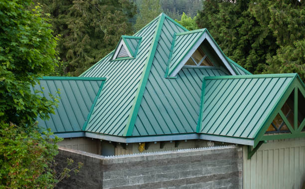 Best Roof Coating and Sealing  in Holly Hill, SC