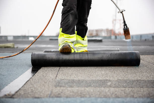 Best Asphalt Shingle Roofing  in Holly Hill, SC