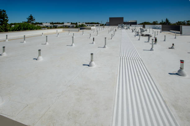 Best Wood Shake Roofing  in Holly Hill, SC